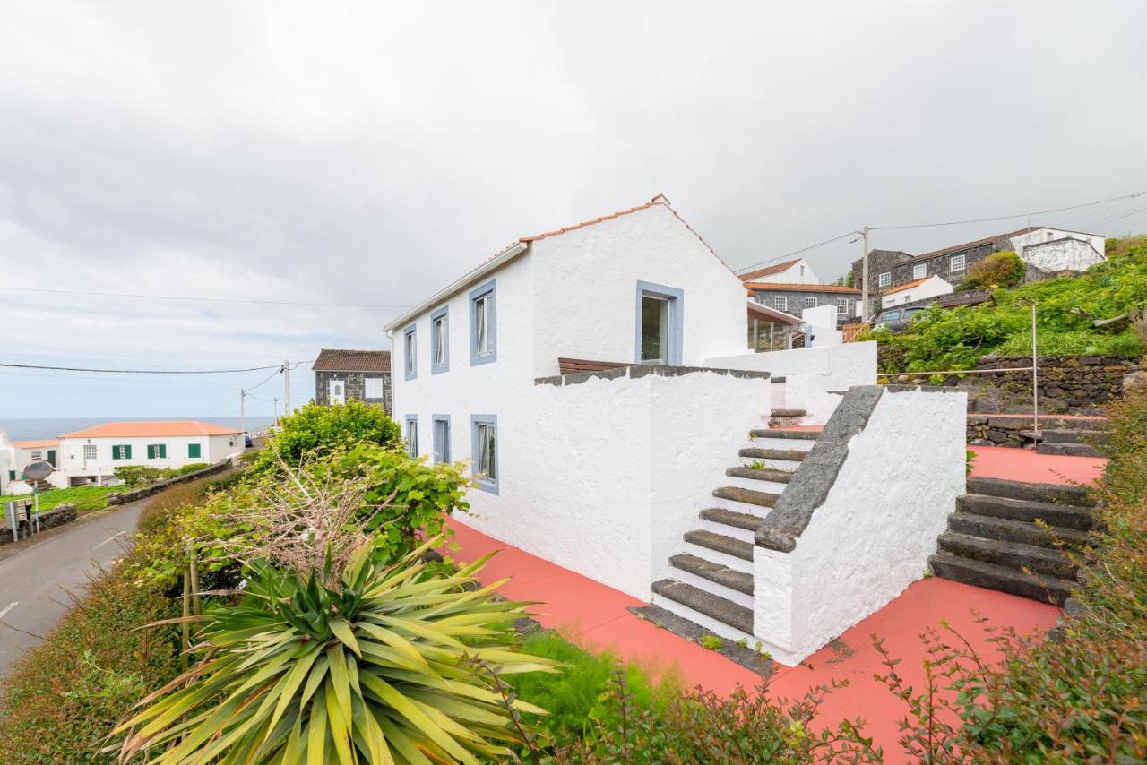Lobo Do Mar Calheta de Nesquim Exterior foto